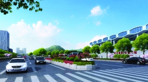南京：雨花臺(tái)四條景觀道變身“法桐大道”